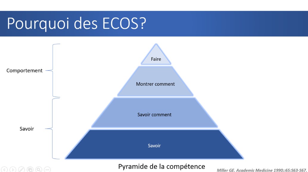 ECOS pyramid