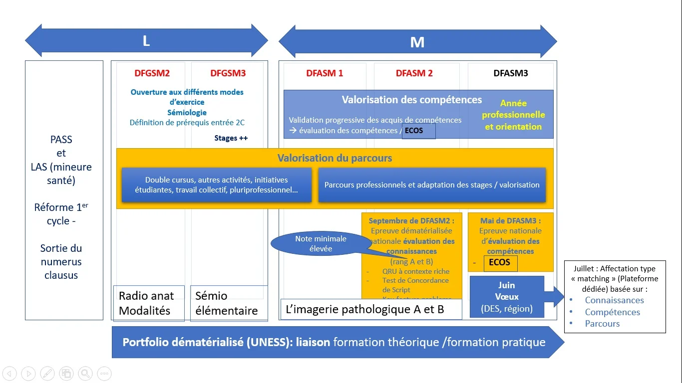 Schéma du 1er cycle des études médicales